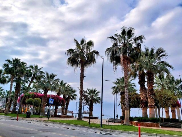 El jardín donde se ubicaba antaño la Cigarrilla llevará el nombre del periodista Miguel Ángel Blaya - 1, Foto 1