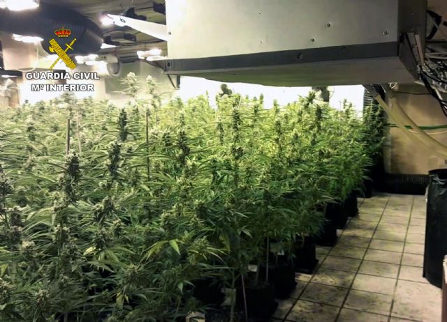 La Guardia Civil desmantela un invernadero intensivo con 900 plantas de marihuana en un chalet de Molina de Segura - 3, Foto 3
