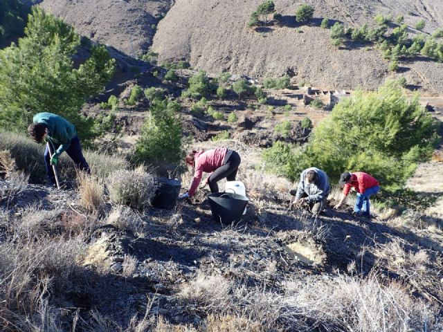 El Caerm apoya a ARBA en la recuperación del bosque autóctono de Cartagena - 4, Foto 4