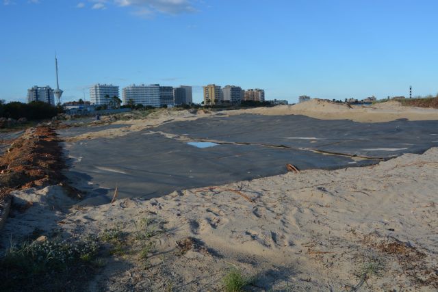 ANSE elimina 16.000 plántulas de acacia y solariza 4.000 m2 de arenales contra la vegetación invasora en La Manga - 5, Foto 5