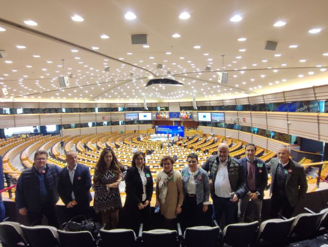 Las plataformas mantuvieron reuniones con cuatro eurodiputados en Bruselas para explicar las consecuencias del Plan de Movilidad - 2, Foto 2