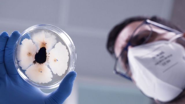 La importancia de la investigación en las empresas biotecnológicas - 3, Foto 3