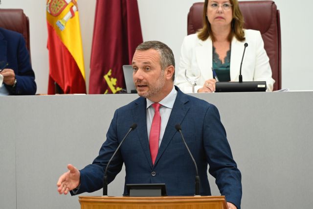 Segado: El PSOE no ha llevado a la Asamblea ni una sola propuesta que no sea  para generar confrontación o defender a Pedro Sánchez - 1, Foto 1