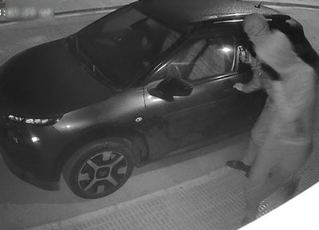 La Guardia Civil desarticula un grupo criminal, formado por ocho individuos, al que atribuye más de una treintena de robos y hurtos en Torre Pacheco - 5, Foto 5