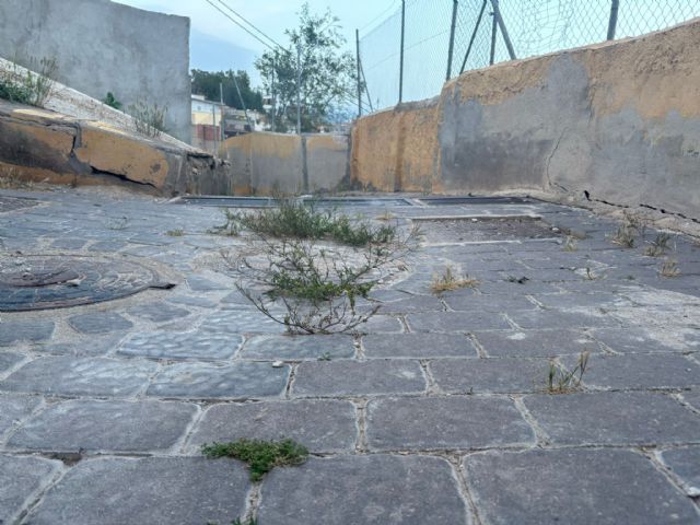 El PSOE denuncia el abandono extremo de San Pedro y exige un plan de choque urgente ante la desidia de Fulgencio Gil - 3, Foto 3