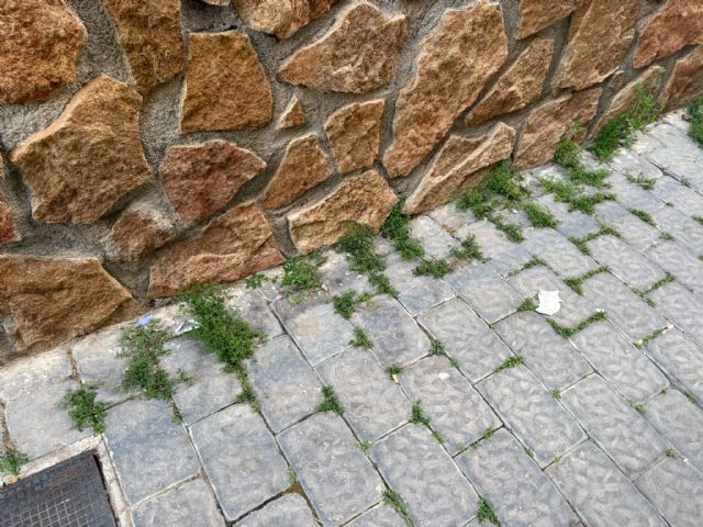 El PSOE denuncia el abandono extremo de San Pedro y exige un plan de choque urgente ante la desidia de Fulgencio Gil - 4, Foto 4