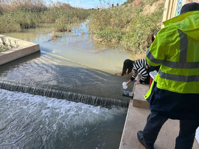 La Comunidad y el CDTI adjudican a cuatro empresas el proyecto 'RECUPERA' para desarrollar soluciones contra los nutrientes del Mar Menor - 2, Foto 2