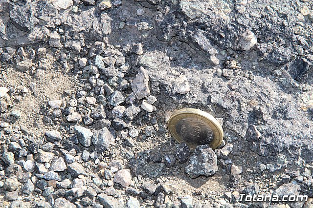 Mejorarn la carretera Aledo-Bullas en la zona de acceso al Parque Regional de Sierra Espuña, Foto 3