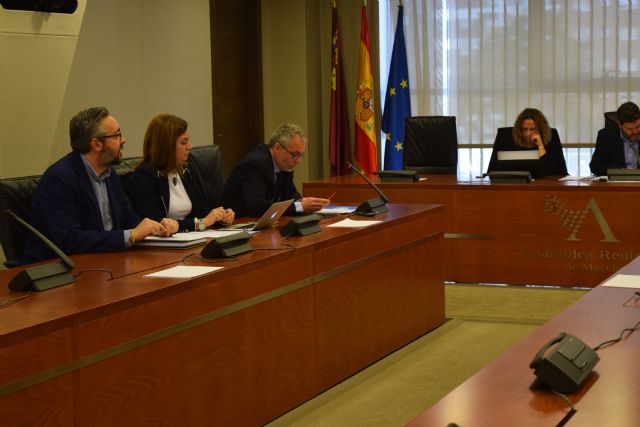 La Asamblea impulsa la realización de estudios con el fin de elevar a 18 años la edad mínima para contraer matrimonio - 1, Foto 1