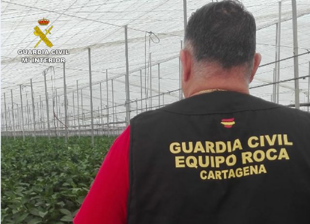 La Guardia Civil desmantela un grupo delictivo dedicado a sustraer productos agrícolas - 2, Foto 2