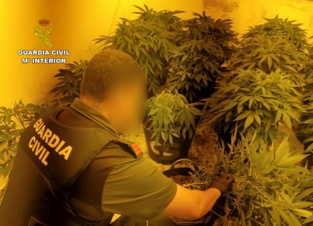 La Guardia Civil desmantela en Mazarrón un punto de producción de marihuana, Foto 3