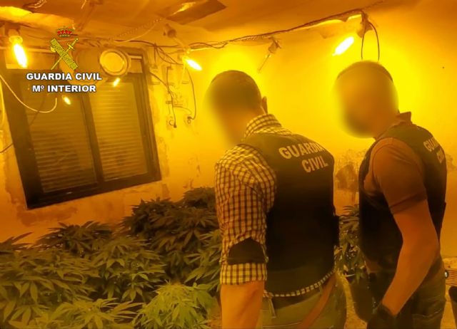 La Guardia Civil desmantela en Mazarrón un punto de producción de marihuana, Foto 5