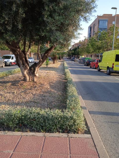 Parques y Jardines intensifica las labores de limpieza y desbroce de medianas y rotondas en Murcia y pedanías - 2, Foto 2