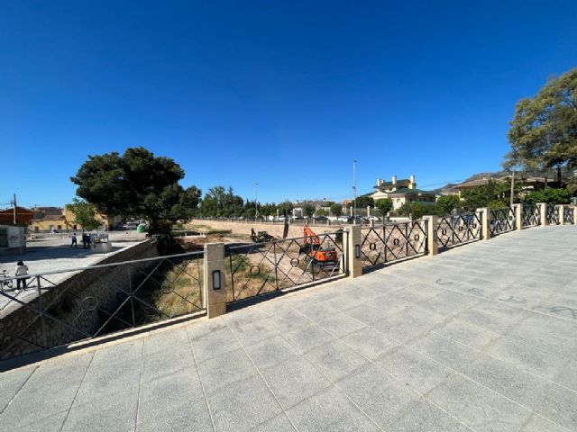 El Ayuntamiento procederá esta semana a retirar el arbolado para su conservación y trasplante durante las obras del tramo 3 excepto los ejemplares para los que no sea viable - 1, Foto 1