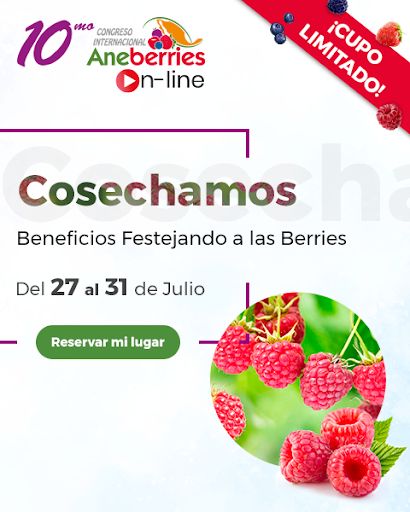 Las Berries de México calientan motores para su primer Congreso On Line - 1, Foto 1