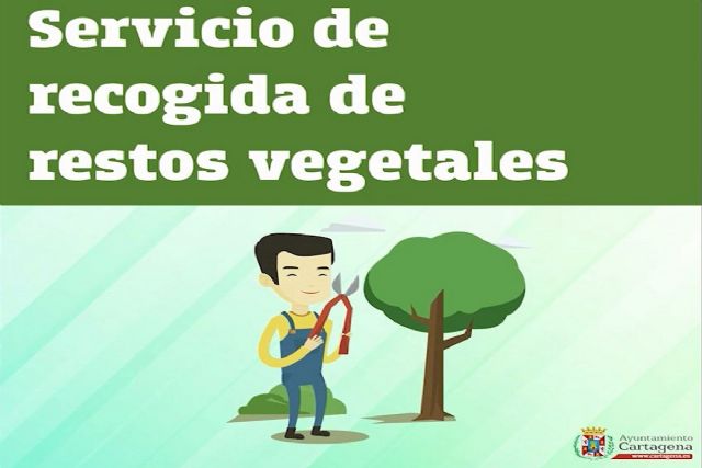 El Ayuntamiento habilita un servicio especial de teléfono para reforzar la recogida de restos vegetales en las zonas costeras de Cartagena - 1, Foto 1