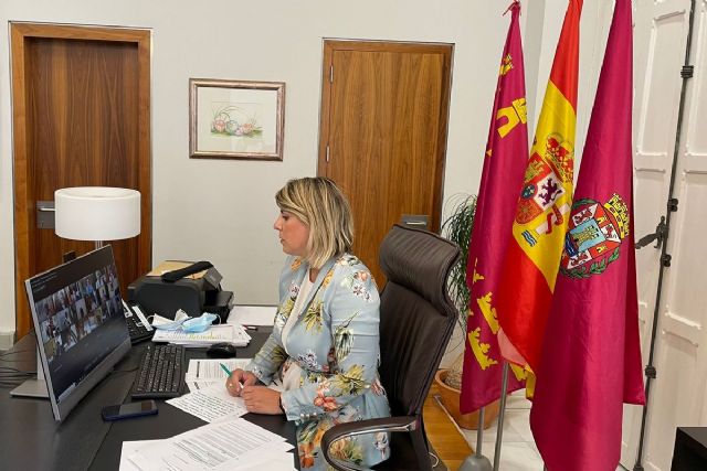 La alcaldesa de Cartagena se incorpora a la Junta de Gobierno de la FEMP y participa en su primera reunión - 1, Foto 1