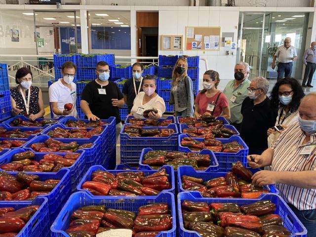 Los productores de pimiento abren sus puertas a la hostelería murciana de la mano de Semillas Fitó - 2, Foto 2
