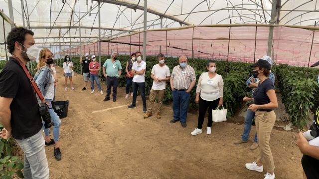 Los productores de pimiento abren sus puertas a la hostelería murciana de la mano de Semillas Fitó - 3, Foto 3