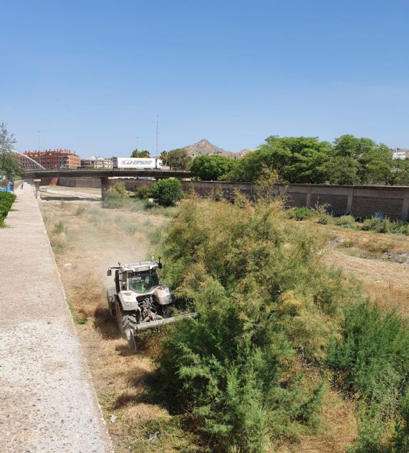 El Ayuntamiento de Lorca inicia los trabajos de desbroce del Río Guadalentín a su paso por el casco urbano del municipio - 1, Foto 1