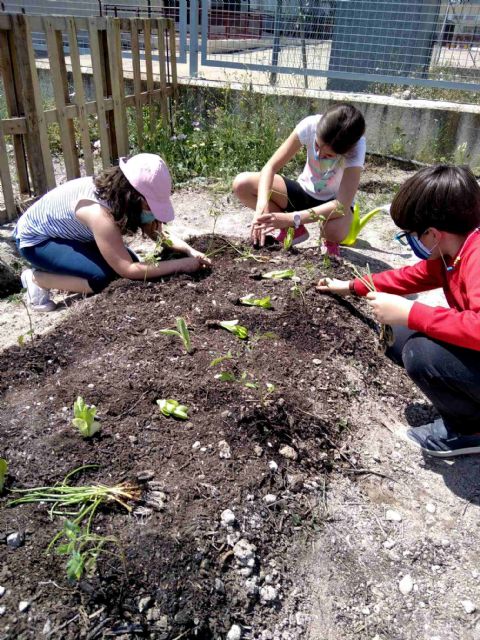 El Ayuntamiento de Caravaca abre el plazo de solicitud para optar a las parcelas de los 'Huertos Urbanos' - 1, Foto 1
