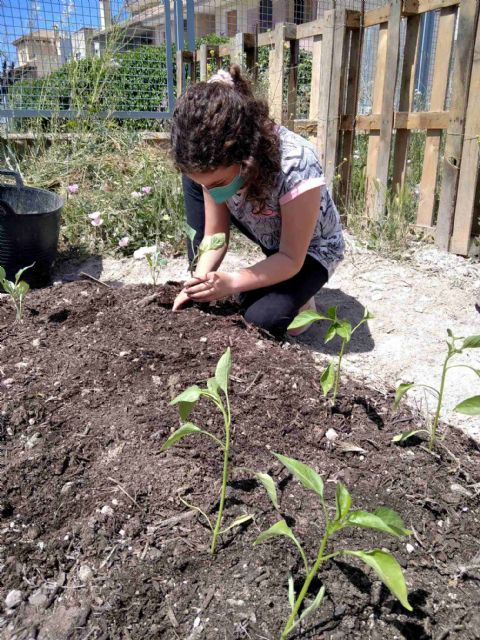 El Ayuntamiento de Caravaca abre el plazo de solicitud para optar a las parcelas de los 'Huertos Urbanos' - 2, Foto 2