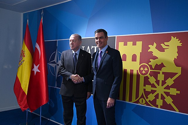 Sánchez se reúne con Erdogan para abordar el papel clave de Turquía en materia de seguridad - 1, Foto 1
