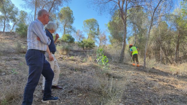 El Ayuntamiento actúa para prevenir incendios y contra los efectos de la sequía en 7 hectáreas de fincas forestales municipales - 1, Foto 1