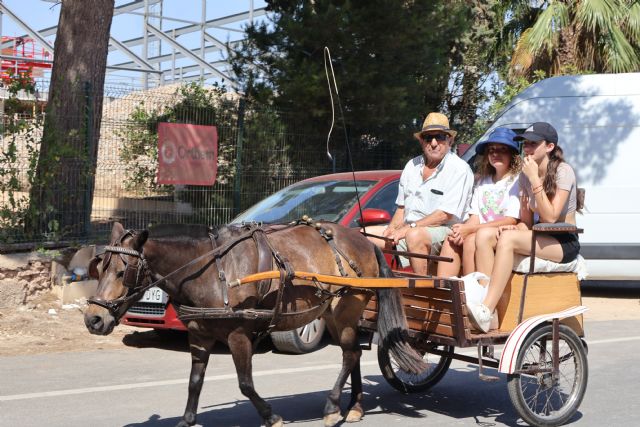 XXX Encuentro de Carruajes Villa de San Pedro, enmarcado en las Fiestas Patronales - 1, Foto 1
