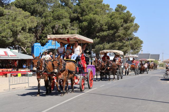 XXX Encuentro de Carruajes Villa de San Pedro, enmarcado en las Fiestas Patronales - 3, Foto 3