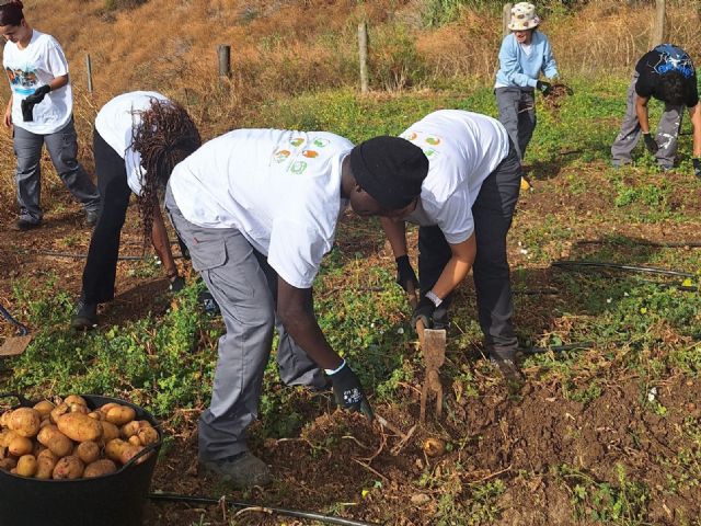 El campo de verano de Aldeas Infantiles SOS en Tenerife impulsa la autonomía de alrededor de 80 adolescentes y jóvenes que crecen en el sistema de protección - 2, Foto 2