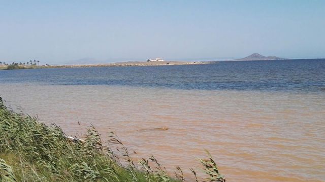El PSOE pide al Gobierno regional actuaciones urgentes y creíbles para frenar el galopante deterioro del Mar Menor - 2, Foto 2