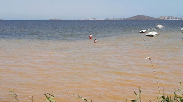 El PSOE pide al Gobierno regional actuaciones urgentes y creíbles para frenar el galopante deterioro del Mar Menor - 3, Foto 3