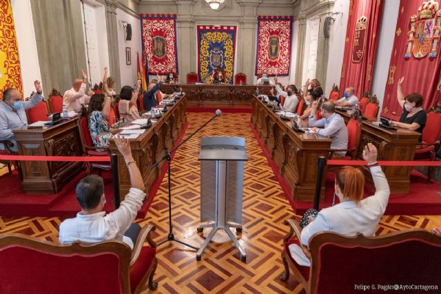 El pleno pide el cese del Delegado del Gobierno por su mala gestión de la crisis de la llegada de inmigrantes irregulares - 1, Foto 1