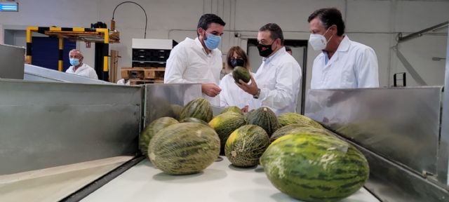 La Región de Murcia exporta más de la mitad de los melones que salen de España a terceros países - 1, Foto 1