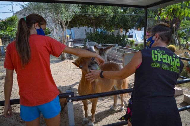 Los usuarios de Puro Corazón y Sherezade Color Esperanza disfrutan de un verano muy activo - 2, Foto 2