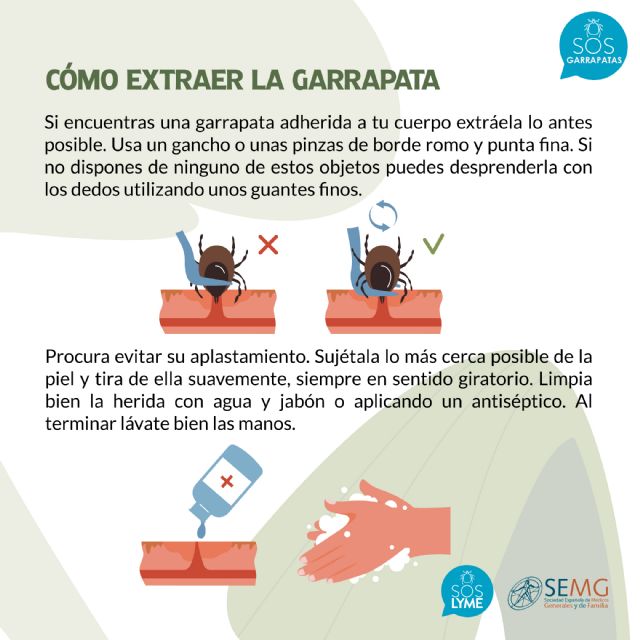 Aumentan los casos debido a la proliferación de garrapatas - 1, Foto 1