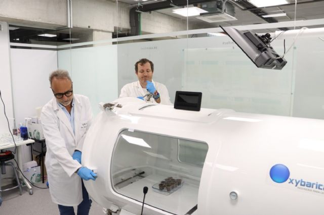 Las cámaras hiperbáricas logran la mejora sensorial del vino - 1, Foto 1