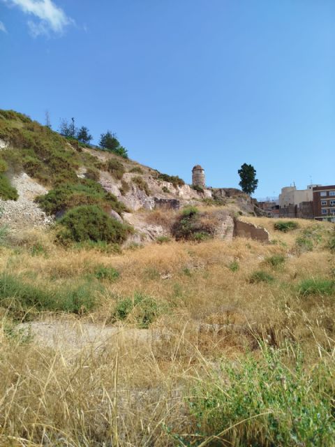 El PCAN denuncia que Arroyo aparca el Plan Director del Molinete para después de la urbanización de la Morería - 5, Foto 5