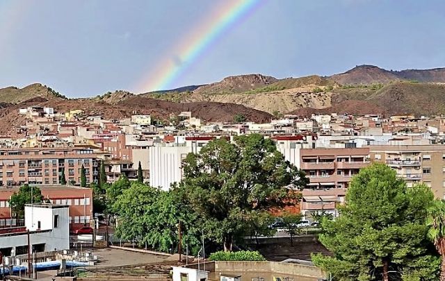 IU denuncia la tala de un eucalipto gigante en la casamata de San Diego - 5, Foto 5
