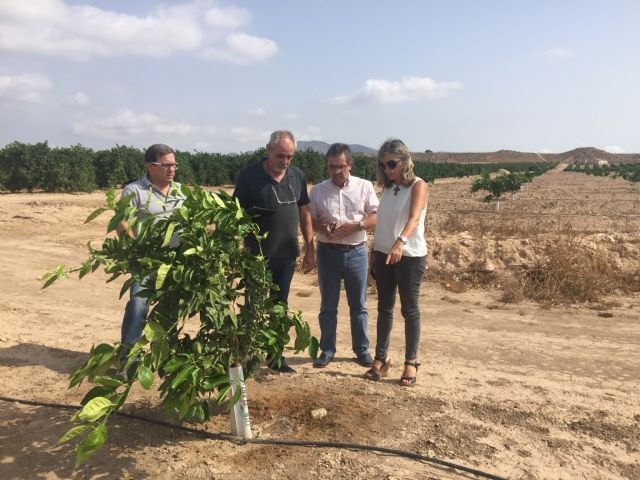 La Consejería de Agricultura realiza controles de todas las solicitudes de ayudas de la PAC para garantizar el uso adecuado de los fondos - 1, Foto 1