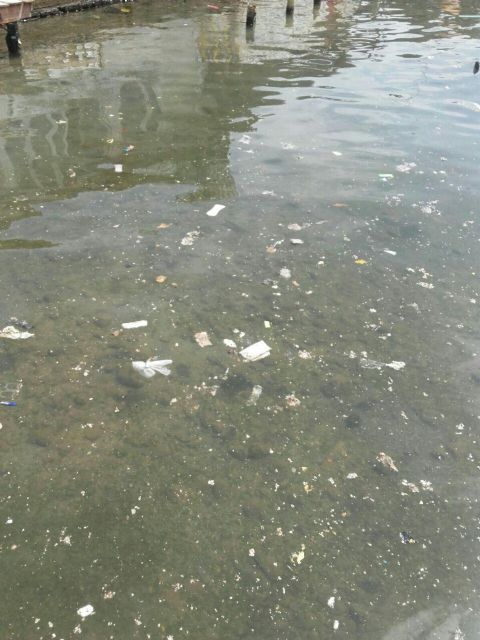 Podemos Cartagena y CTSSP denuncian nuevos vertidos del alcantarillado en la Algameca Chica - 1, Foto 1
