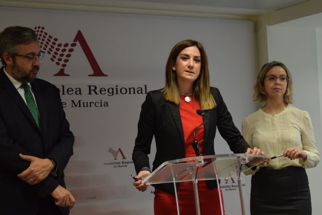 Patricia Fernández: El ecuador de la legislatura es sinónimo de estabilidad por la tendencia de crecimiento en materia de empleo - 1, Foto 1