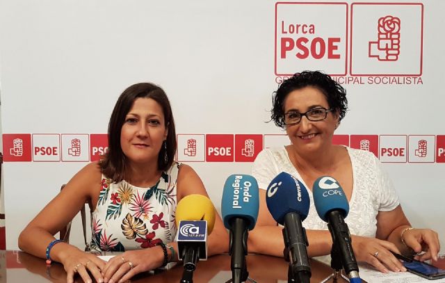 El PSOE solicita una serie de medidas que garanticen la igualdad de oportunidades a las personas con discapacidad en la próxima feria - 1, Foto 1