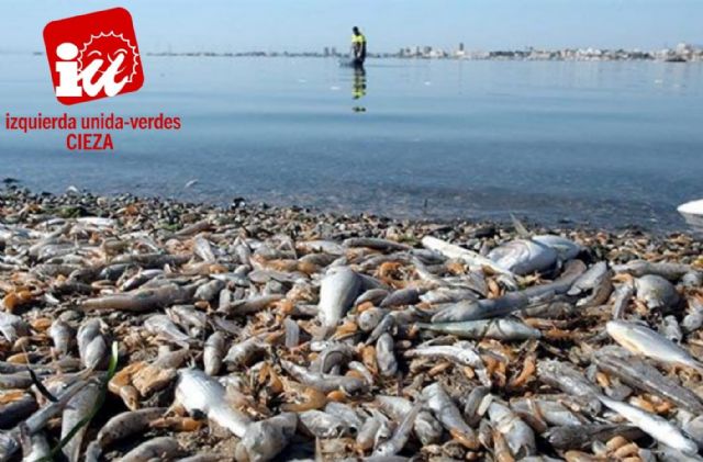 IU-Verdes: El ecocidio del Mar Menor no está causado por un desastre natural - 1, Foto 1