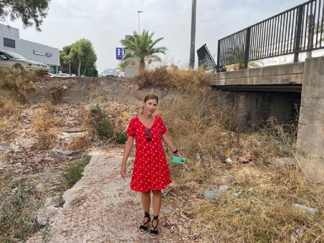 El PP exige un plan de choque de limpieza inminente ante el peligroso estado que presentan las ramblas del municipio - 1, Foto 1