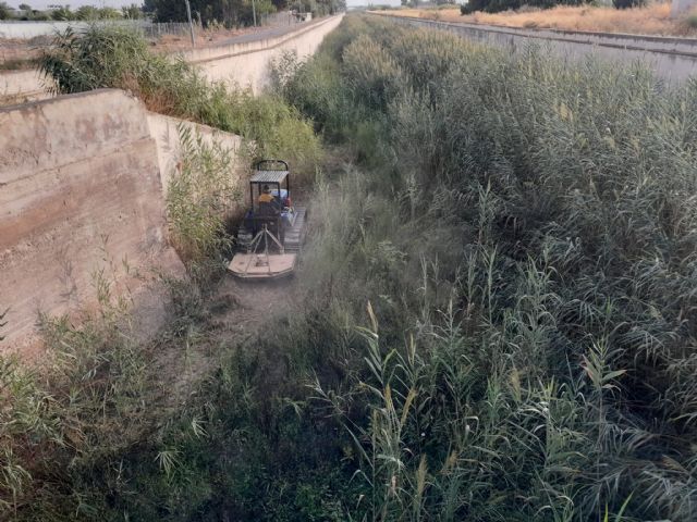 La CHS inicia los trabajos de desbroce del cauce del canal del Reguerón en el municipio de Murcia - 1, Foto 1