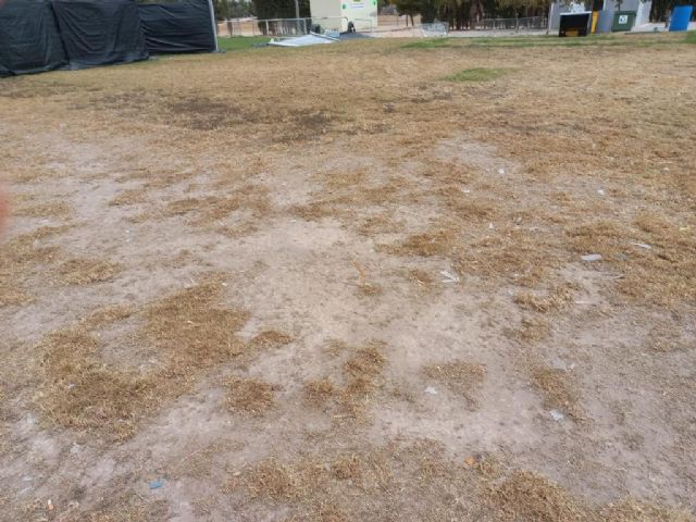 Destrozado el césped natural del Campo Municipal de Rugby de Las Torres de Cotillas - 2, Foto 2