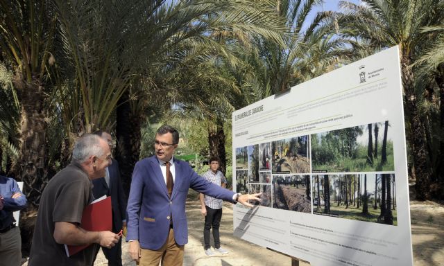 El Ayuntamiento aprueba el plan para la recuperación del histórico palmeral de Zaraiche - 2, Foto 2
