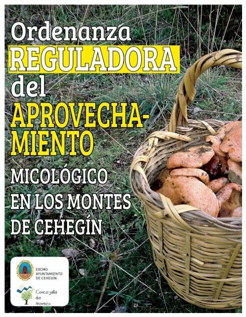 El Ayuntamiento informa sobre la Ordenanza reguladora del aprovechamiento micológico en los montes - 1, Foto 1
